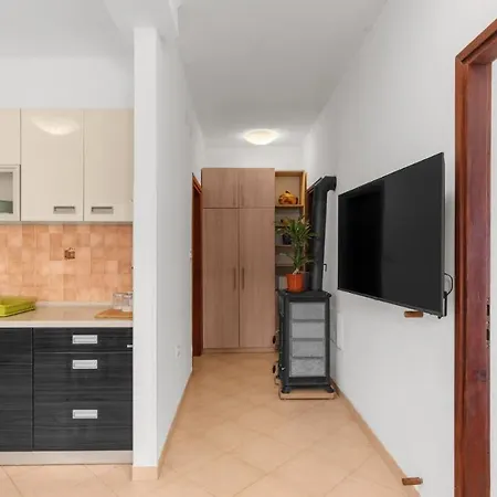 Πανσιόν Holiday Daila 50m From The Beach Dajla